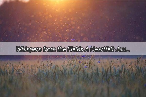 Whispers from the Fields A Heartfelt Journey with My Deceased Father in a Dream